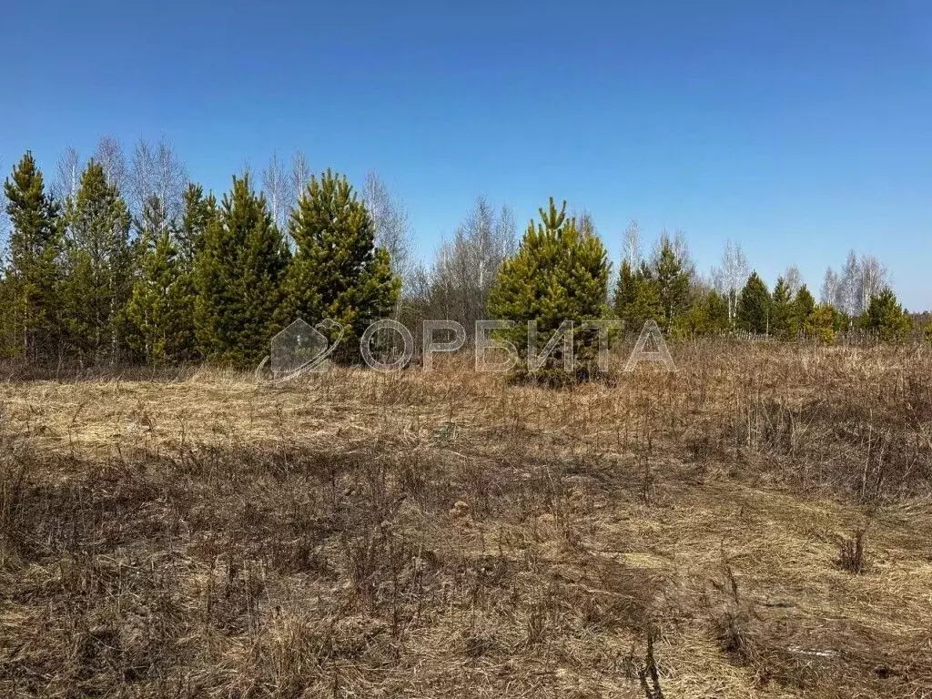 Участок в Тюменская область, Нижнетавдинский район, У Сосны ... - Фото 0