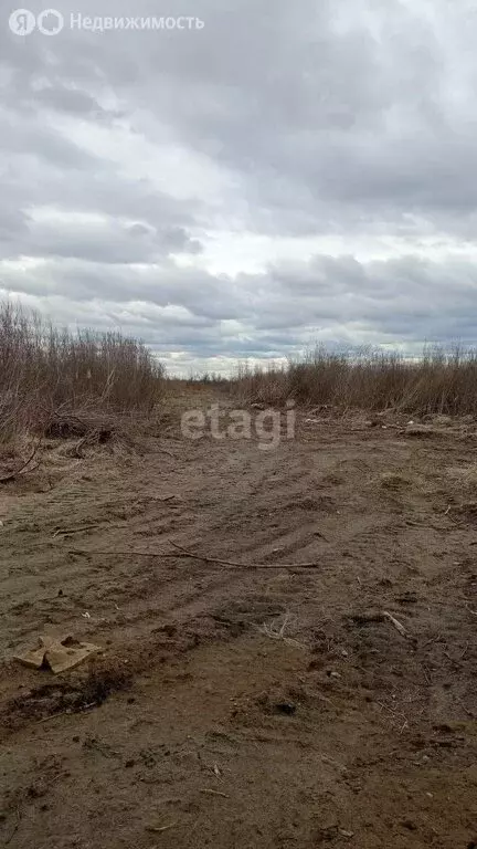 Участок в Тюмень, СНТ Ягодное, Центральная улица (20.1 м) - Фото 1