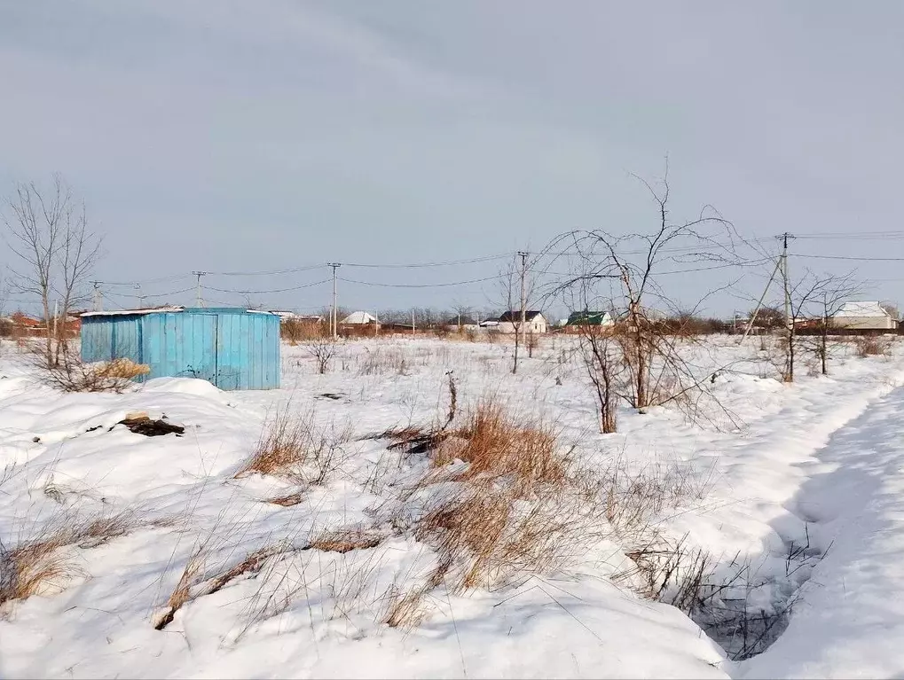 Участок в Краснодарский край, Красноармейский район, Полтавская ст-ца ... - Фото 1