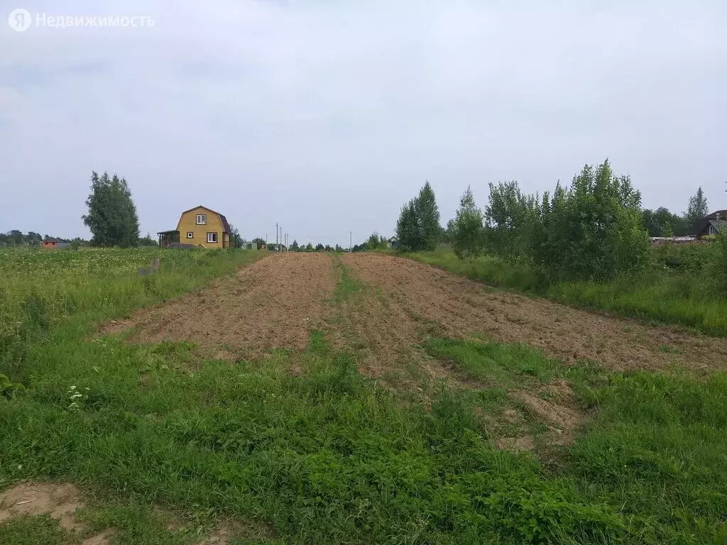 Купить Участок Новгородская Обл