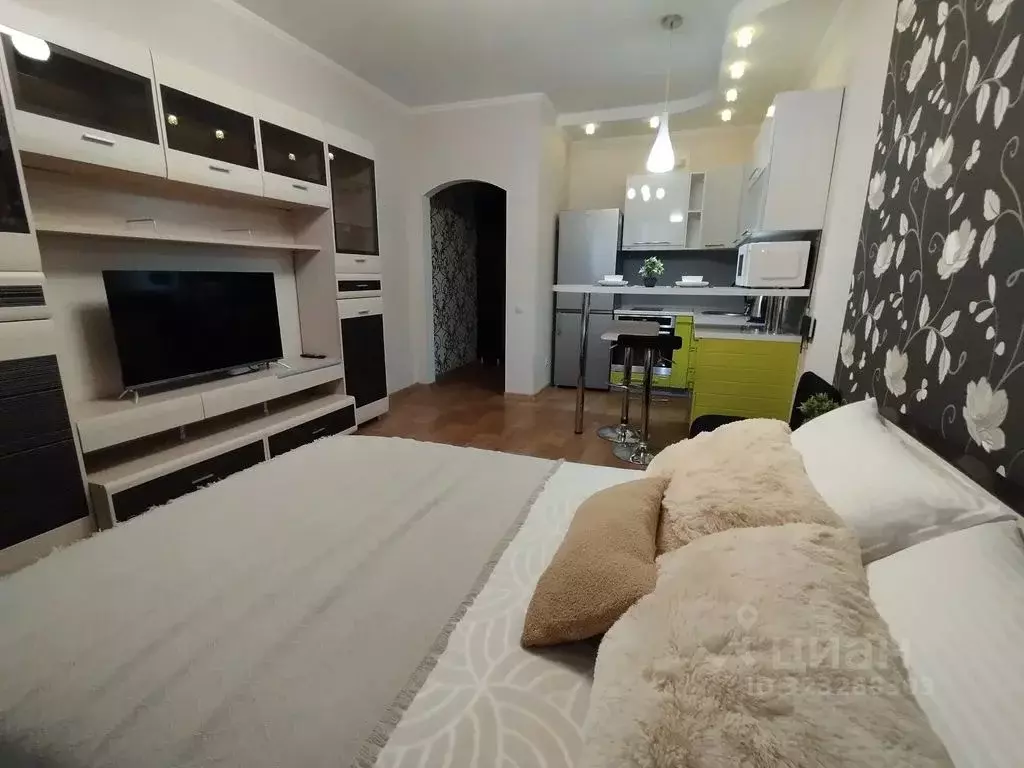 1-к кв. Самарская область, Тольятти ул. Фрунзе, 8в (25.0 м) - Фото 1