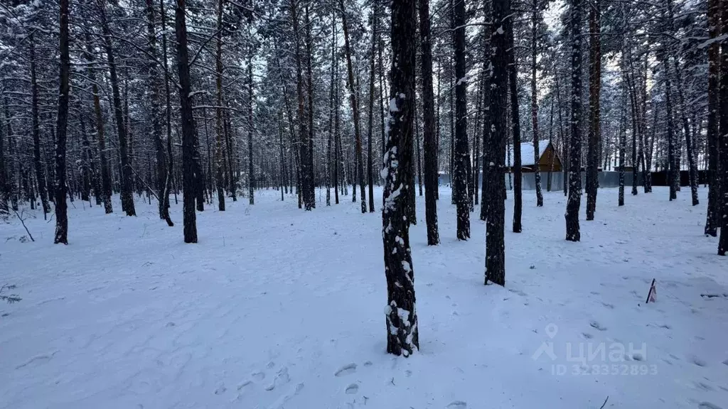 Участок в Саха (Якутия), Якутск ш. Хатынг-Юряхское (10.0 сот.) - Фото 2