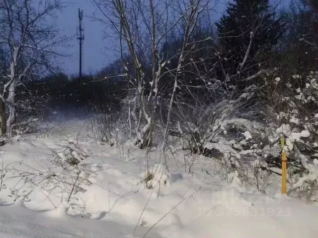 Участок в Удмуртия, Глазов Кировская ул., 2 (1000.0 сот.) - Фото 2