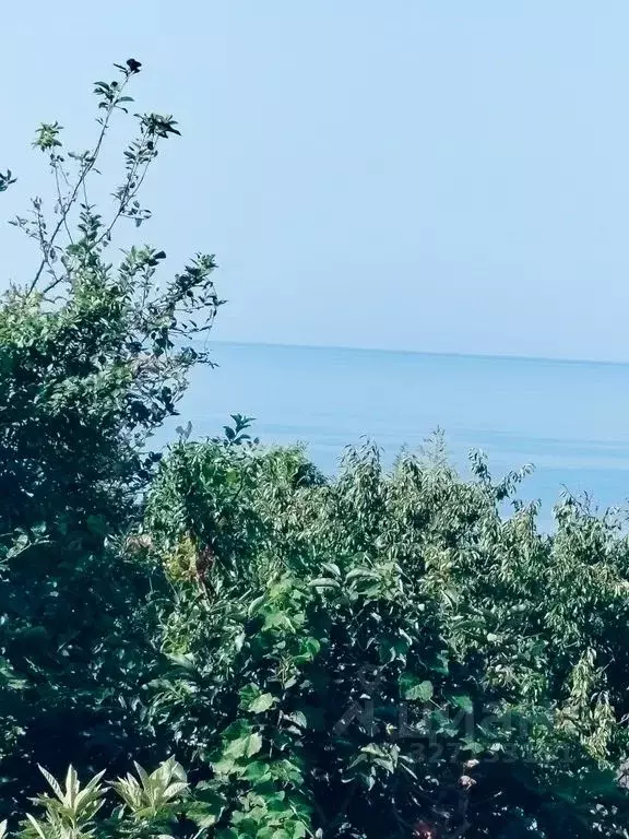 Дом в Краснодарский край, Сочи ул. Декабристов, 15 (80 м) - Фото 2