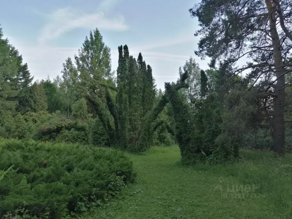 Участок в Нижегородская область, Нижний Новгород д. Анкудиновка, ... - Фото 2