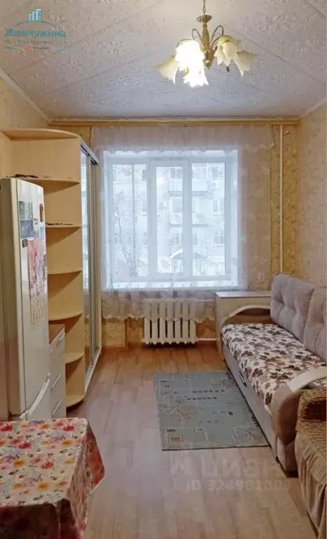 1-к кв. Ульяновская область, Димитровград просп. Ленина, 7 (19.0 м) - Фото 1