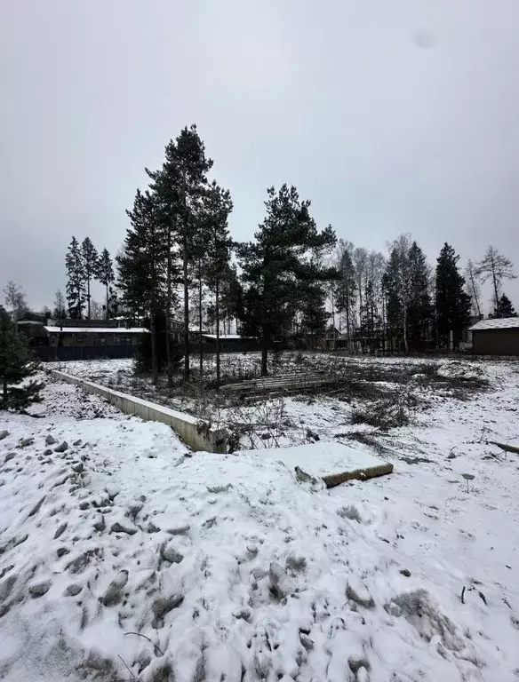 Участок в Московская область, Химки городской округ, д. Благовещенка ... - Фото 2