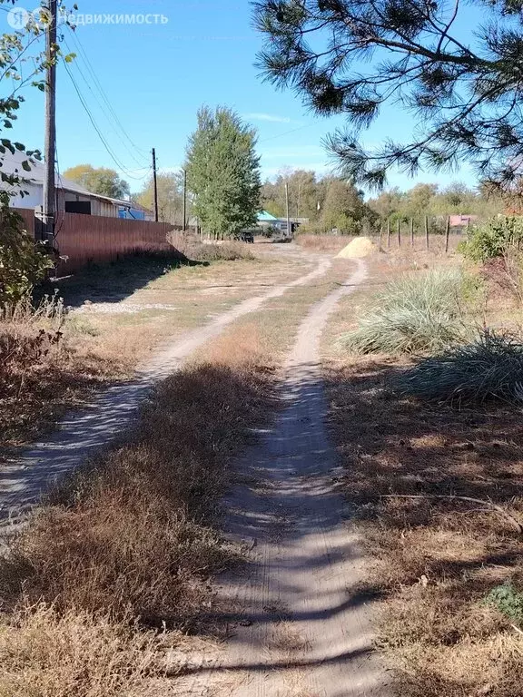 Участок в село Рыкань, Заливная улица, 41 (29.13 м) - Фото 0