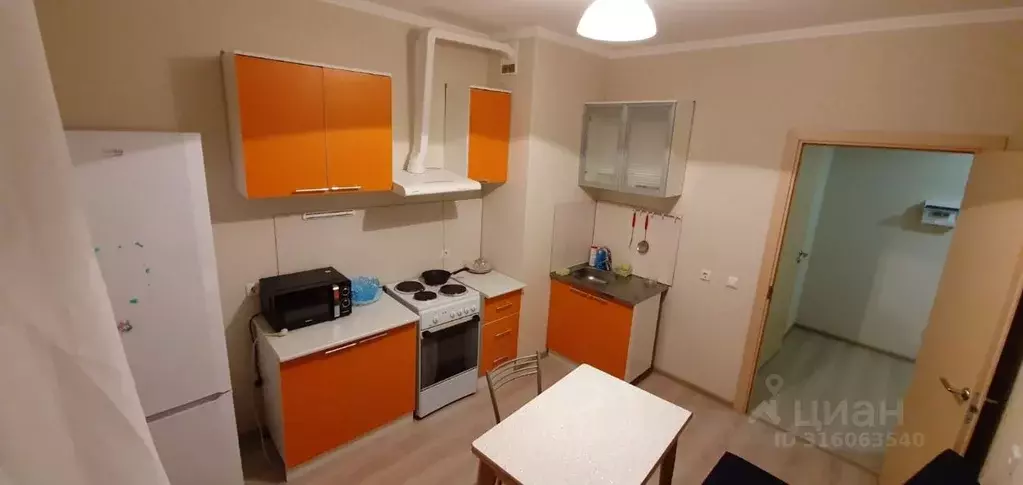 1-к кв. Ленинградская область, Всеволожский район, Заневское городское ... - Фото 2