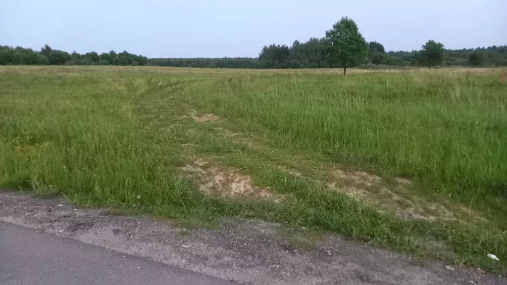 Участок в Московская область, Мытищи городской округ, д. Долгиниха  ... - Фото 1