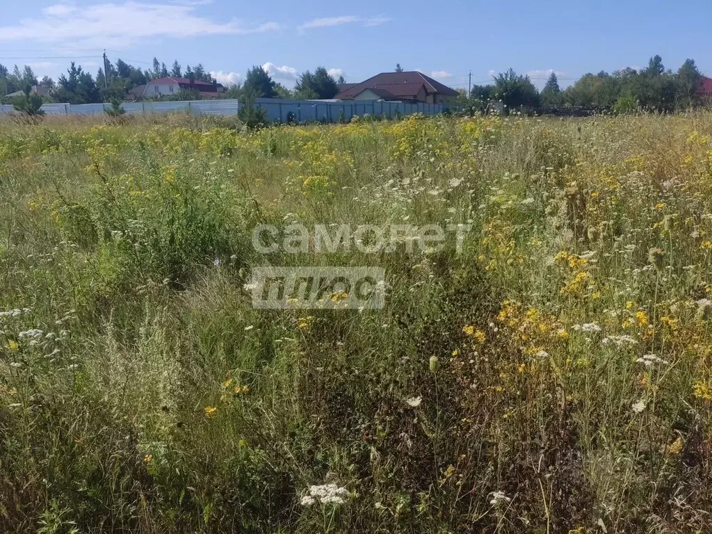 Участок в Липецкая область, Добровский муниципальный округ, с. ... - Фото 2