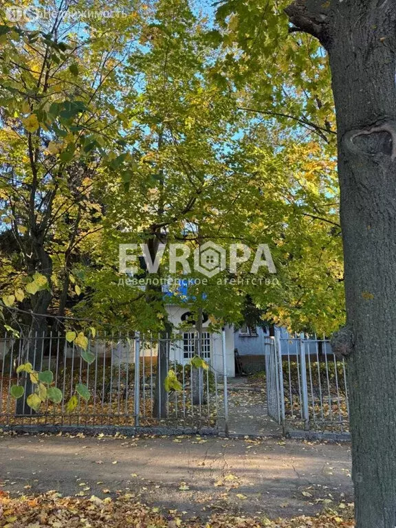 Помещение свободного назначения (859 м) - Фото 1