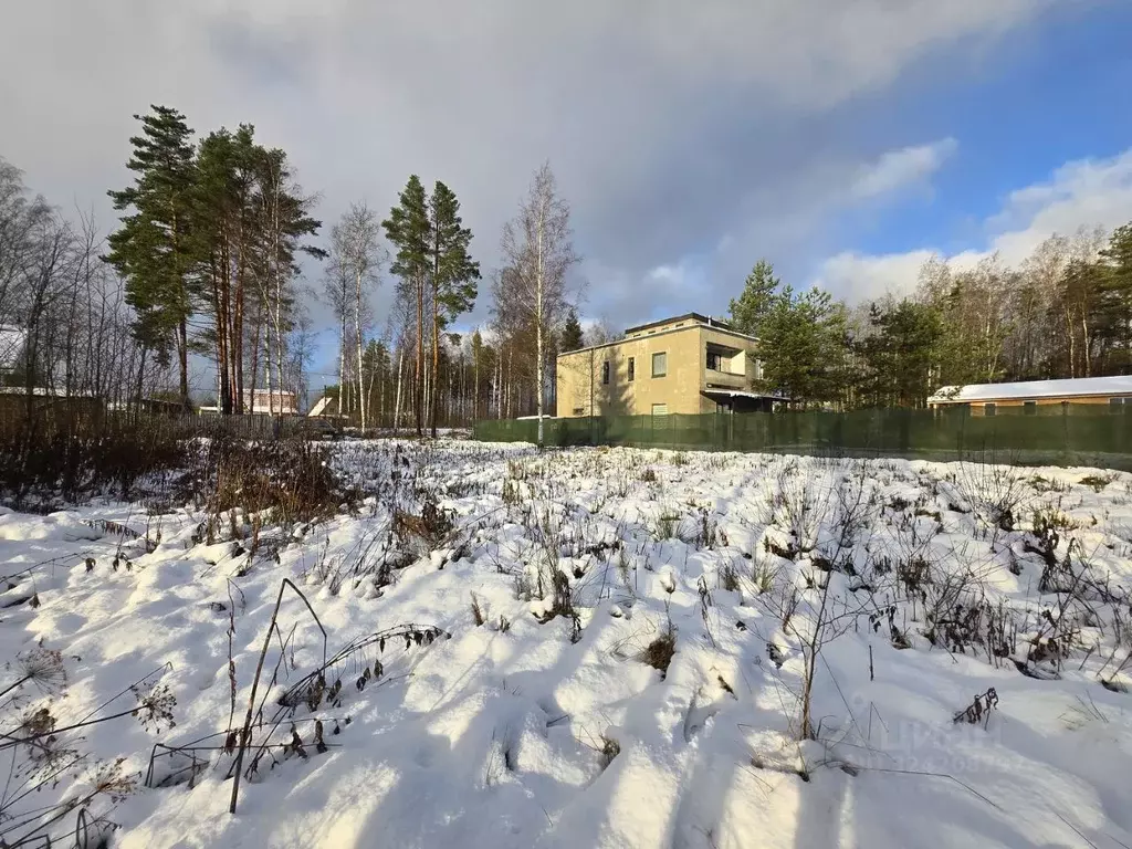 Участок в Ленинградская область, Ломоносовский район, Лебяженское ... - Фото 2