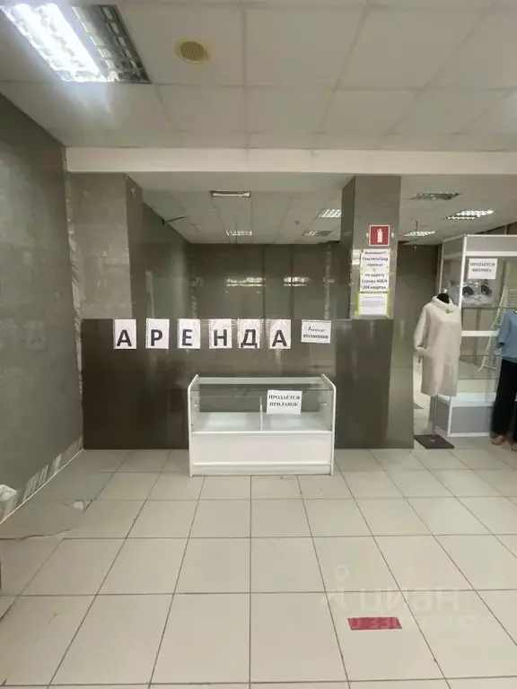 Помещение свободного назначения в Ставропольский край, Ставрополь ул. ... - Фото 2