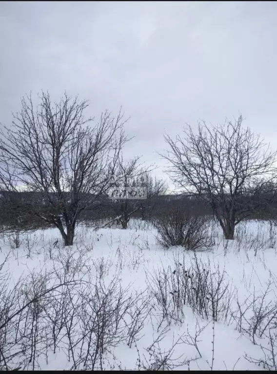Участок в Башкортостан, Октябрьский пл. Имени Ленина (4.87 сот.) - Фото 1