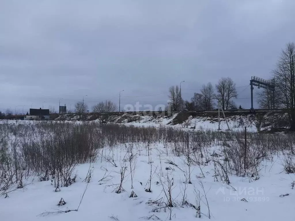 Участок в Псковская область, Остров пер. 5-й Симанский (14.8 сот.) - Фото 0