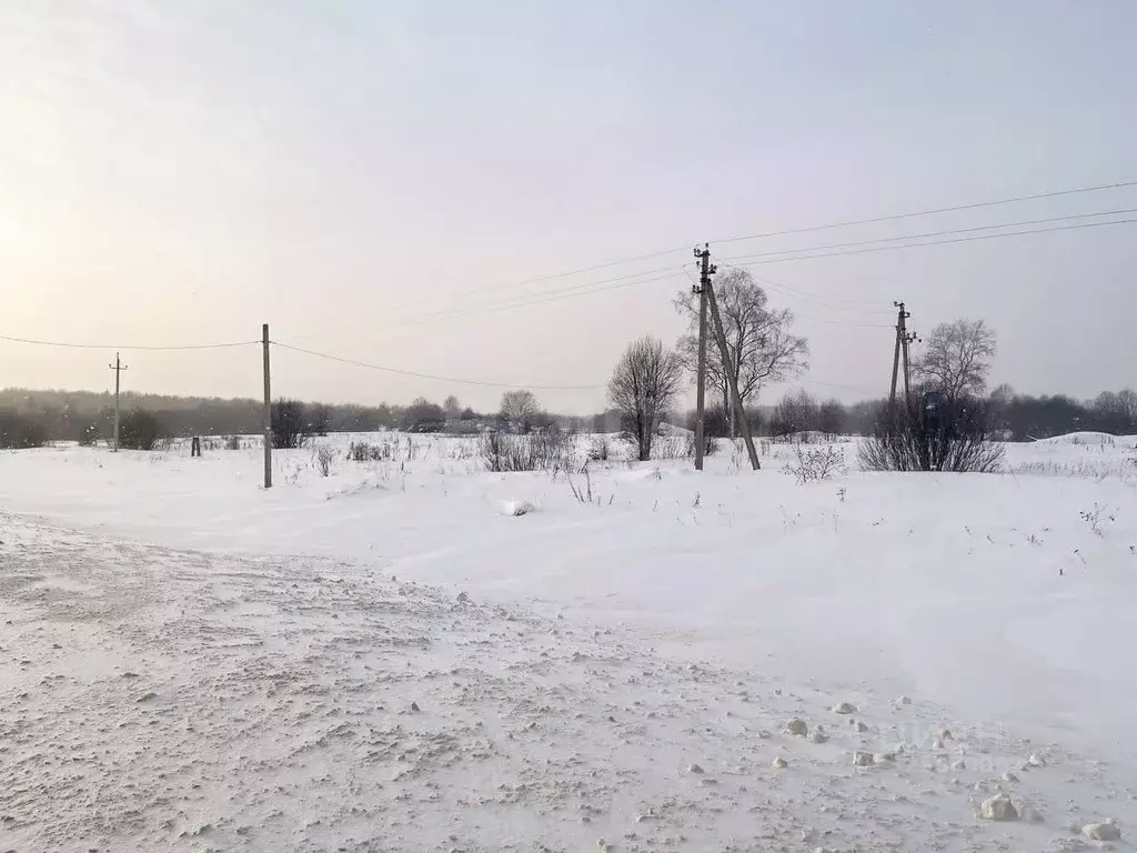 Участок в Ярославская область, Даниловский муниципальный округ, д. ... - Фото 1