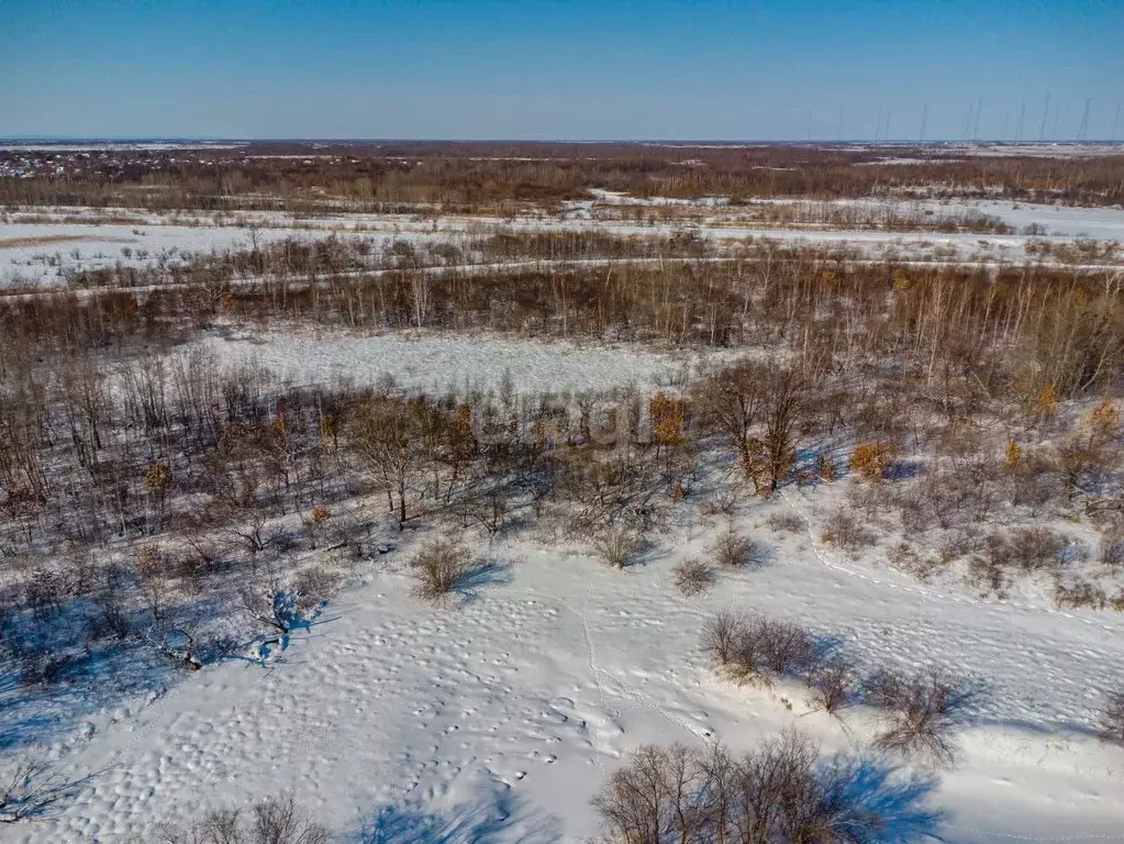 Участок в Еврейская автономная область, Смидовичский район, с. ... - Фото 1