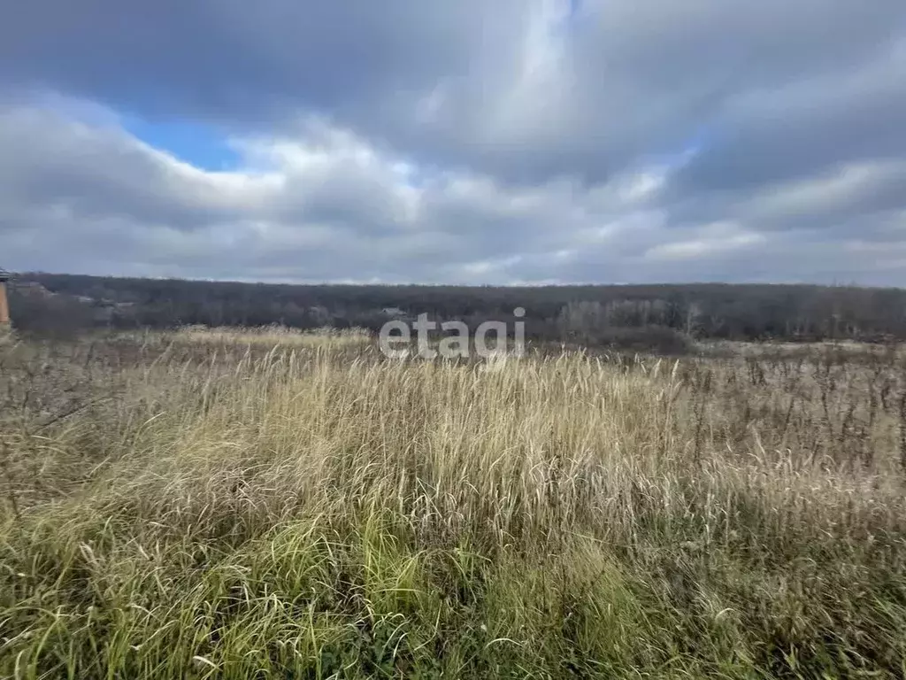 Участок в Белгородская область, Белгородский район, Дубовское с/пос, ... - Фото 1