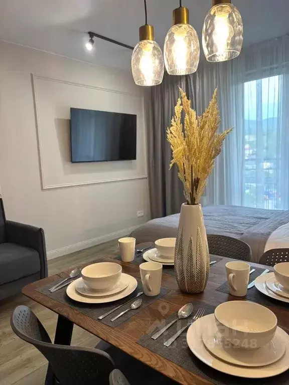 Студия Краснодарский край, Сочи ул. Искры, 88к6 (32.0 м) - Фото 1