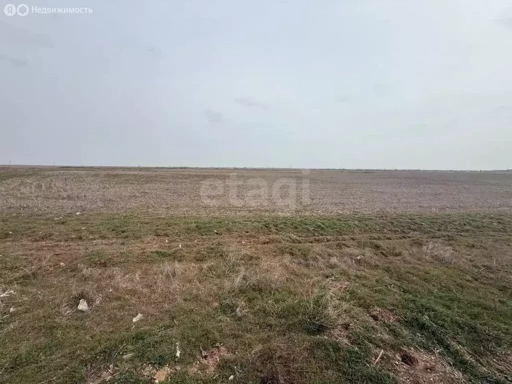 Участок в Раздольненский район, Кукушкинское сельское поселение, село ... - Фото 2