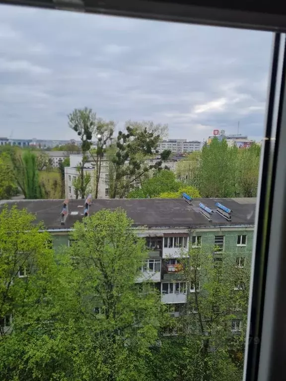 1-к кв. Калининградская область, Калининград ул. Профессора ... - Фото 0