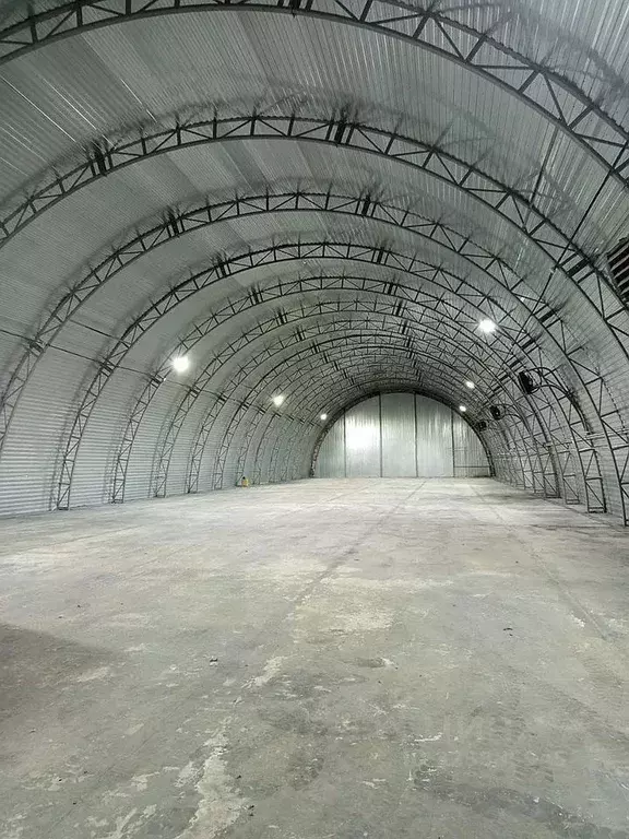 Помещение свободного назначения в Московская область, Домодедово ... - Фото 1