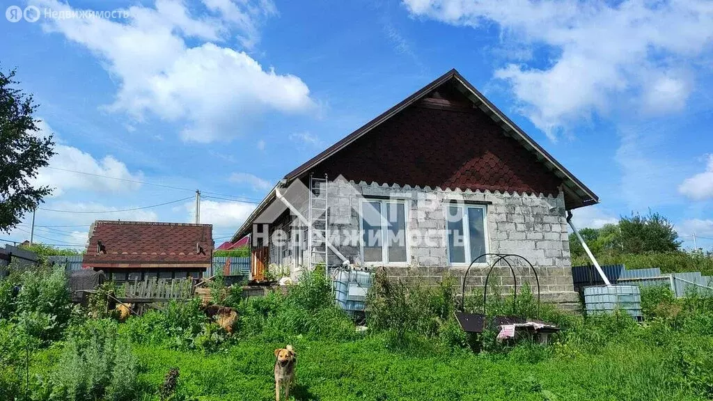 Дом в Тульская область, городской округ Новомосковск, деревня Большое ... - Фото 0