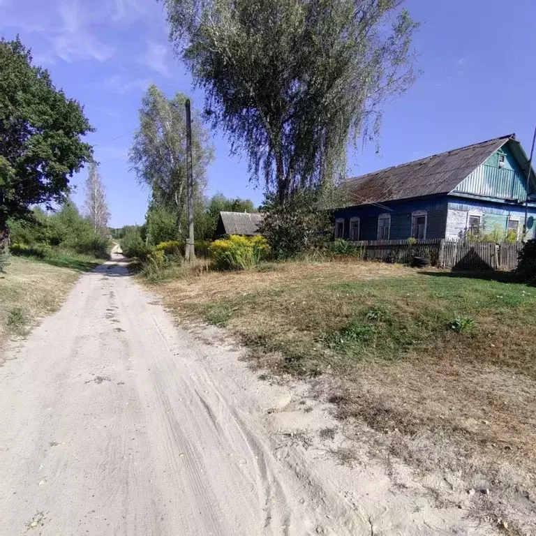 Дом в Брянская область, Навлинское городское поселение, д. Сергино ул. ... - Фото 1
