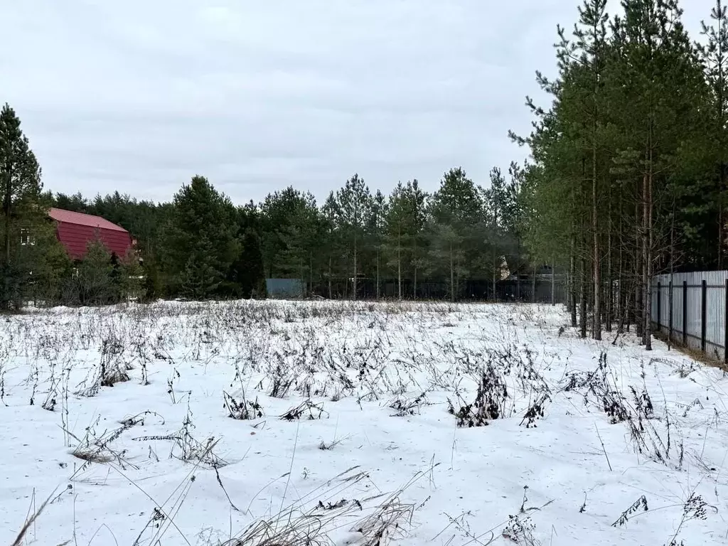 Участок в Владимирская область, Киржачский район, Филипповское ... - Фото 1