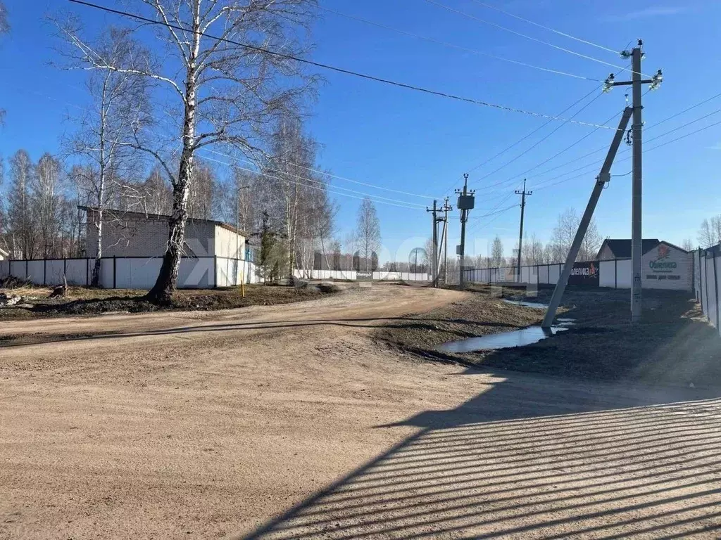 Участок в Новосибирская область, Новосибирский район, Станционный ... - Фото 1