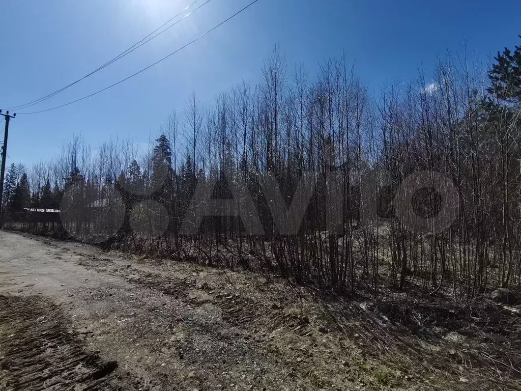 Участок 12 сот. (СНТ, ДНП) - Фото 0