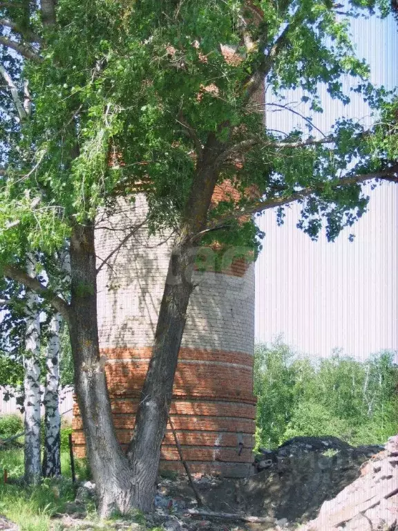 Участок в Воронежская область, Подгоренский район, Белогорьевское ... - Фото 1