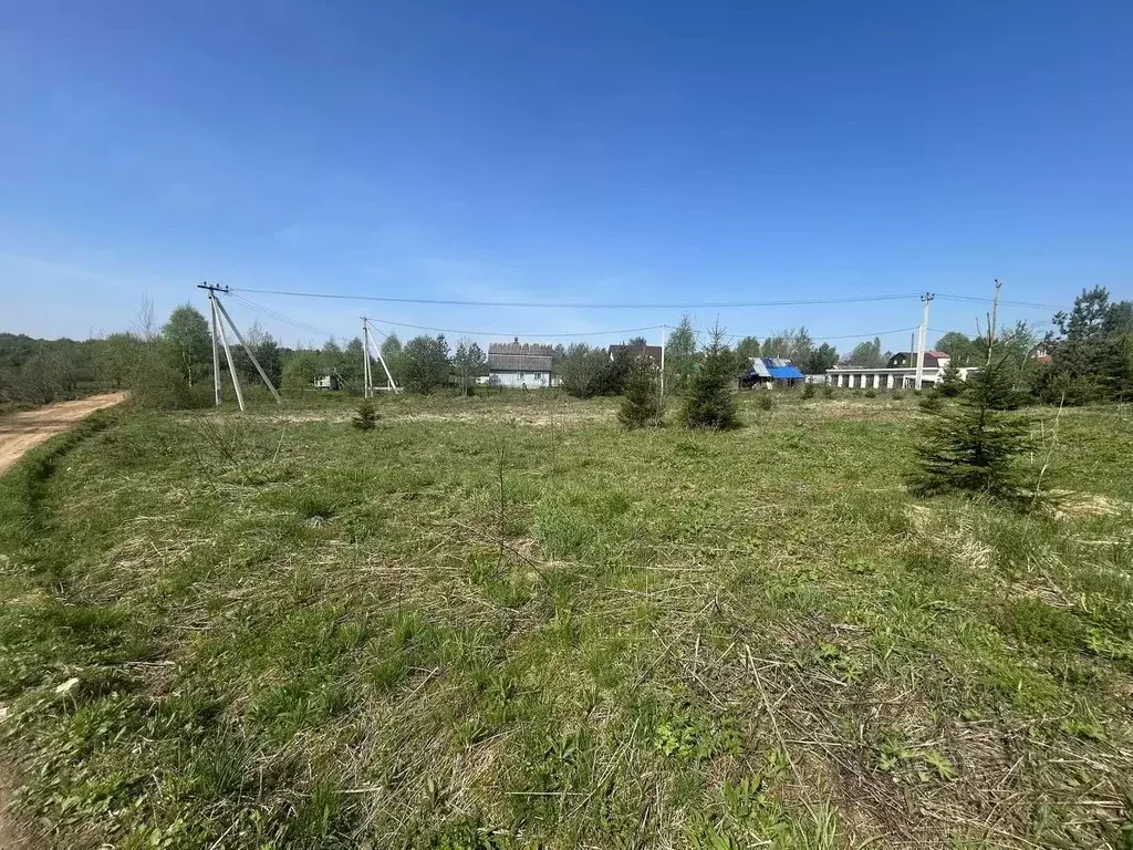 Участок в Московская область, Клин городской округ, д. Ситники  (23.96 ... - Фото 1