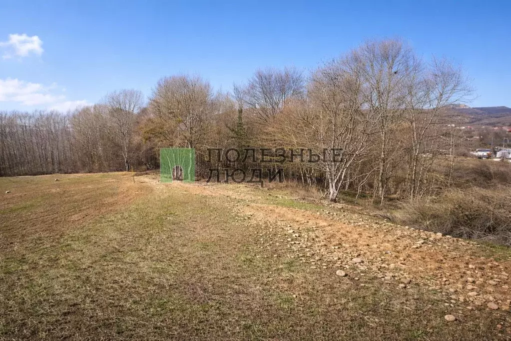 Участок в Севастополь с. Передовое,  (10.0 сот.) - Фото 2