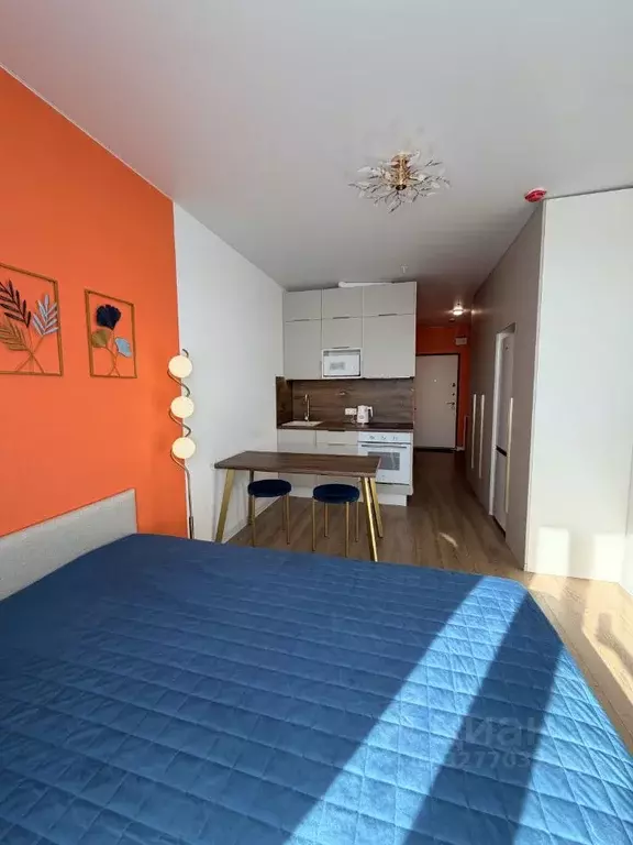 Студия Москва Пятницкое ш., 56Б (25.0 м) - Фото 2