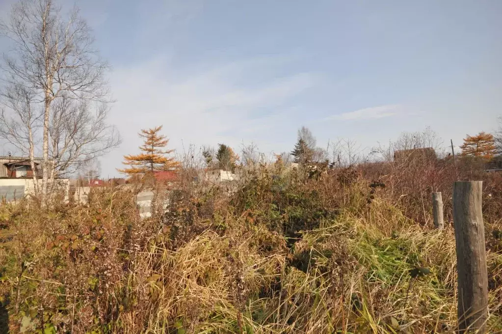 Участок в Сахалинская область, Южно-Сахалинск Искатель СНТ, ул. ... - Фото 1