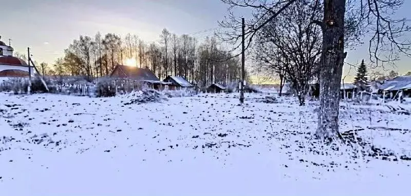 Участок в Владимирская область, Ковровский муниципальный округ, с. ... - Фото 1