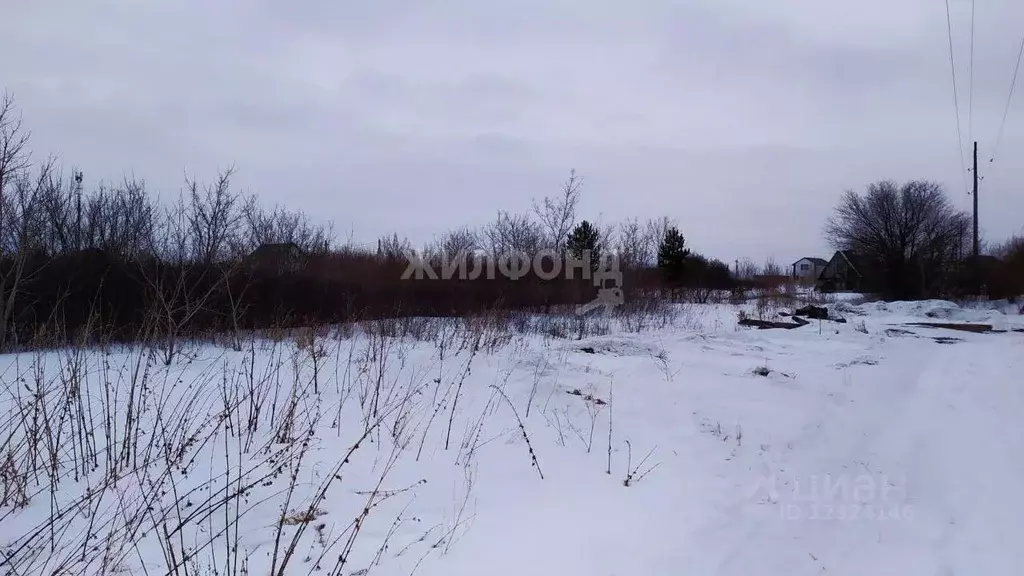 Купить Земельный Участок Поселок Бельмесево