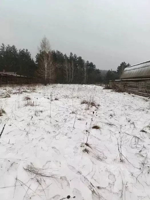 Участок в Московская область, Солнечногорск городской округ, д. ... - Фото 1