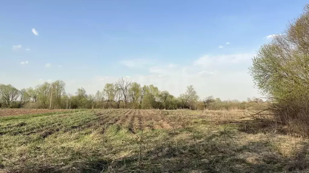 Участок в Марий Эл, Медведевский район, Кузнецовское с/пос, д. ... - Фото 1