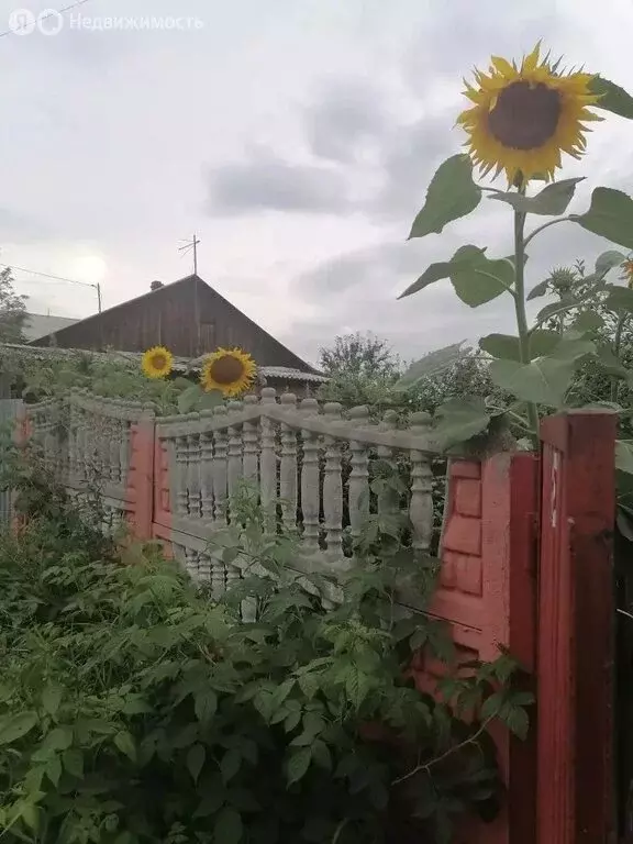 Дом в Красноярск, улица Володарского (144 м) - Фото 1
