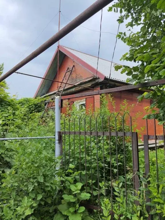 Дом в Самарская область, Кинельский с/пос, пос. Язевка ул. ... - Фото 2