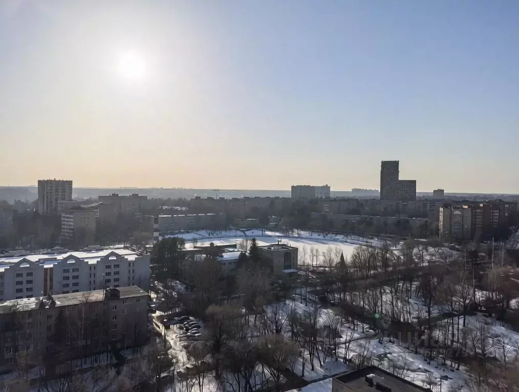 Студия Московская область, Пушкино Озерная ул., 11к1 (26.9 м) - Фото 1