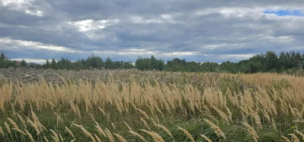 Участок в Московская область, Луховицы  (19.99 сот.) - Фото 1