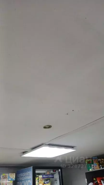 Помещение свободного назначения в Костромская область, Кологривский ... - Фото 2