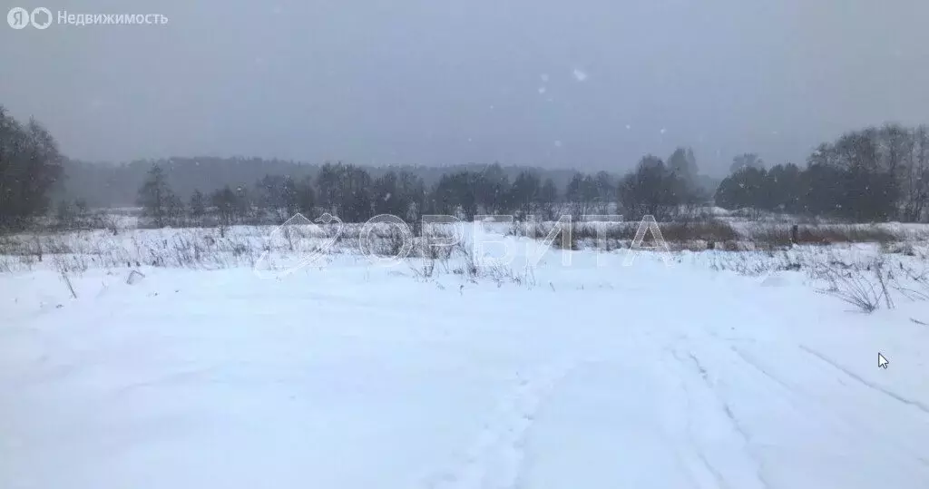 Участок в Тугулымский городской округ, деревня Луговая, Центральная ... - Фото 0