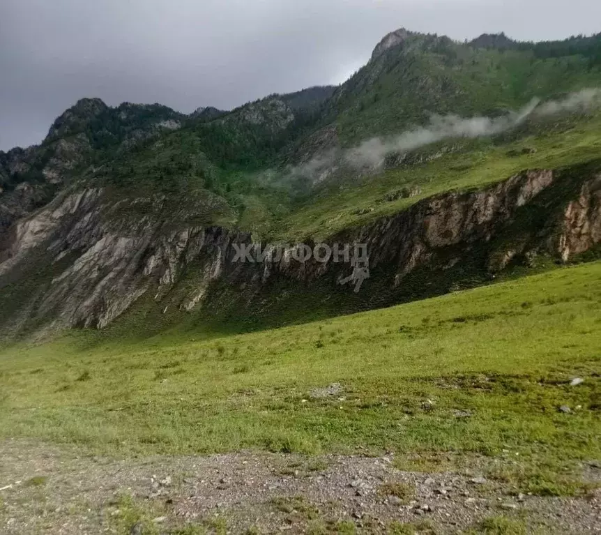 Участок в Алтай, Онгудайский район, с. Иня ул. Мира (1040.04 сот.) - Фото 1