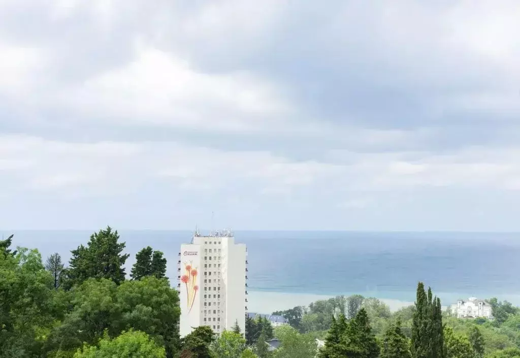 1-к кв. Краснодарский край, Сочи Новый Сочи мкр, ул. Санаторная, 48Б ... - Фото 1