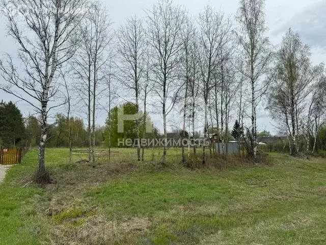 Участок в Ярославская область, Даниловский муниципальный округ, село ... - Фото 1